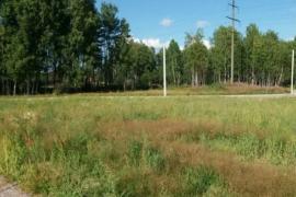 Участок 12,7 сот. (СНТ, ДНП)