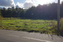 СНТ Лопухинские Предместья (15.0 сот.)