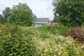 ИЖС 10,5 соток д Сяськелево