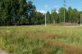 Участок 12,7 сот. (СНТ, ДНП)