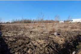 Участок 10 сот. (СНТ, ДНП)