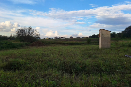 Участок 10,6 сот. (СНТ, ДНП)