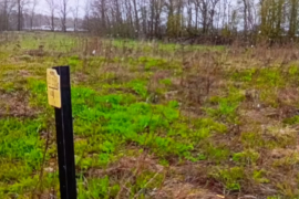 Участок 7,2 сот. (ИЖС)