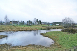 12 сот ИЖС Коваши