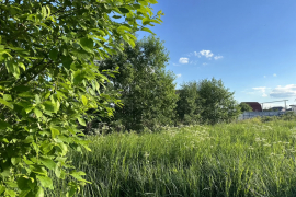 Участок 12 сот. (СНТ, ДНП)